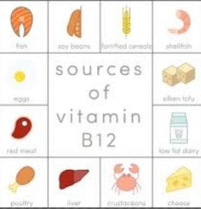علاج نقص فيتامين b12