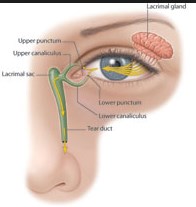 انسداد القناة الدمعية