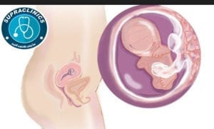 بطن الحامل في الشهر الثالث بالصور