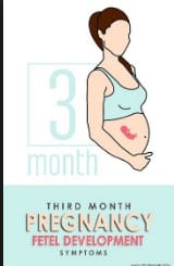 نصائح للحامل في الشهر الثالث
