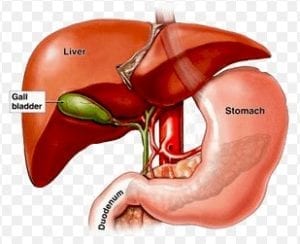 وش علاج المراره الملتهبه