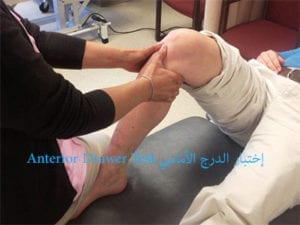 الرباط الصليبي الأمامي والغضروف