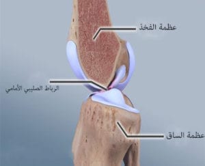 عملية الرباط الصليبي بالمنظار يوتيوب