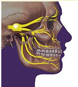 علاج العصب الخامس بالأعشاب